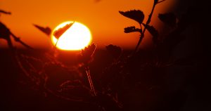 10 consejos para protegerte del Sol